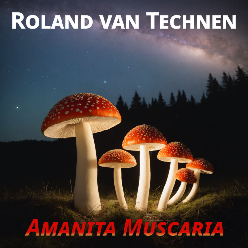 STLM013 cover