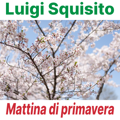 STLM018 cover