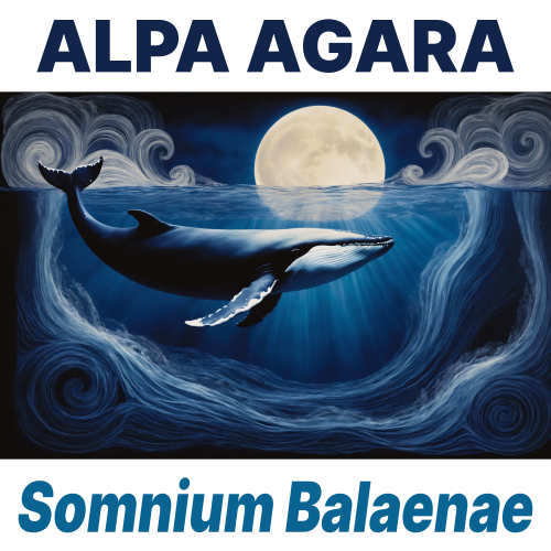STLM031 cover